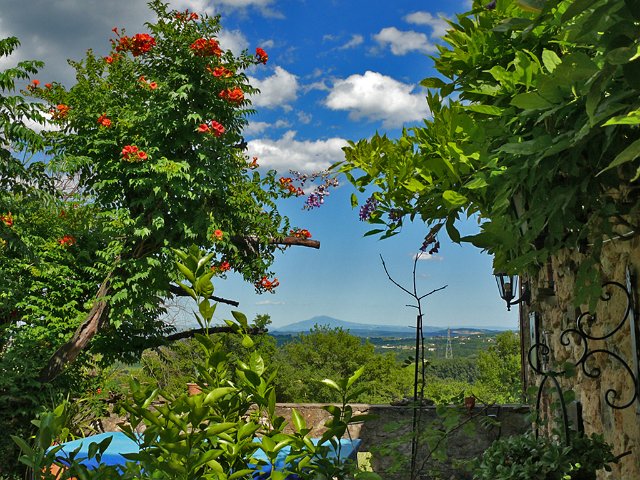 090702_terasse_trompeten_montVetoux.jpg - Terrassenblick zum Mont Vetoux